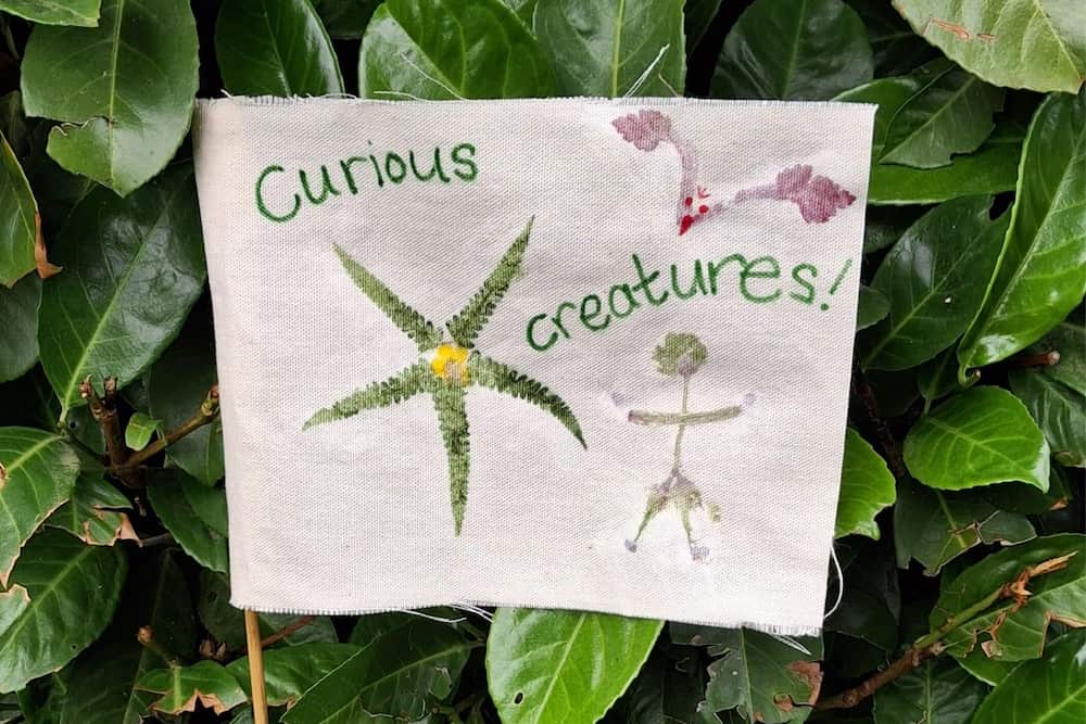 Curious Creatures Beach Flag craft