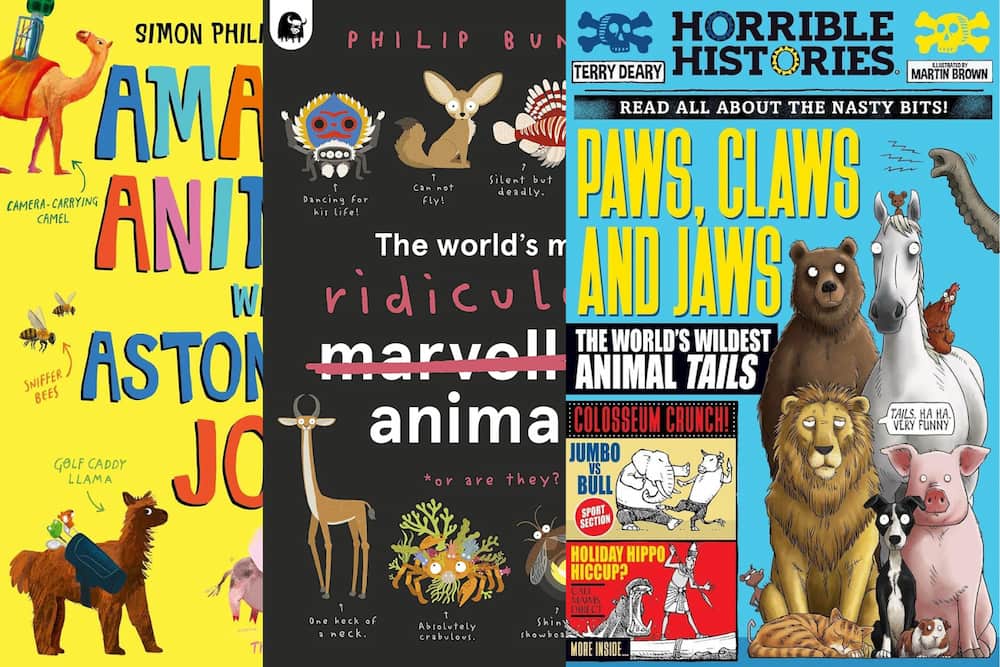 Curious Creatures: Animal Fact Books