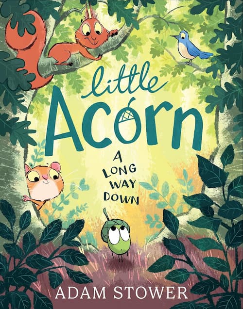 Little Acorn Little Acorn