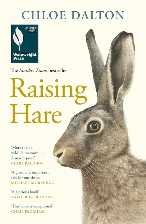 Raising Hare resize Raising Hare