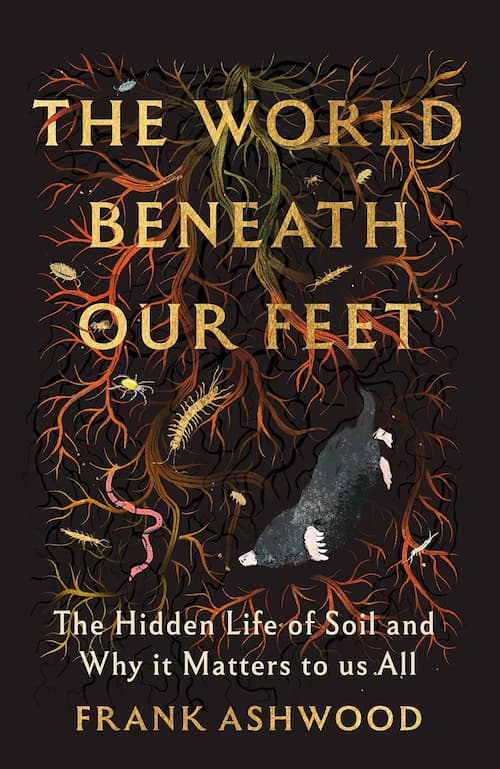 The World Beneath Our Feet The World Beneath Our Feet