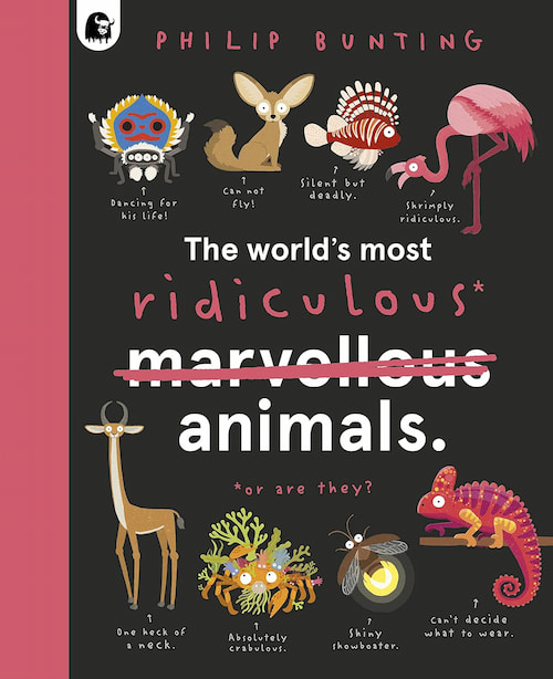 The World's Most Ridiculous Animals The World's Most Ridiculous Animals