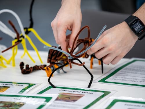 Biodiversity Data Detectives Workshop for Kids (8+)