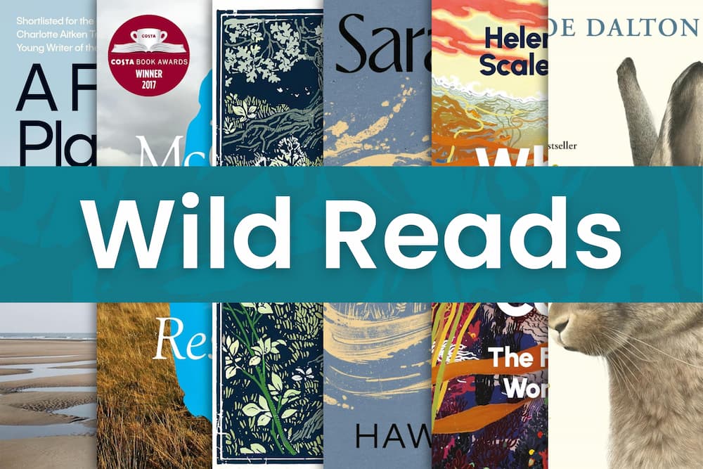 Wild Reads. Cropped book covers of this year's chosen titles.