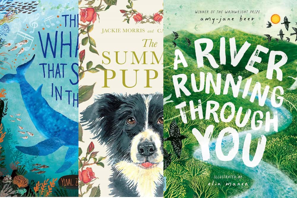 Children’s Wainwright Prize for Picture Books 2026 Shortlist