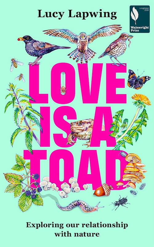 Love is a Toad