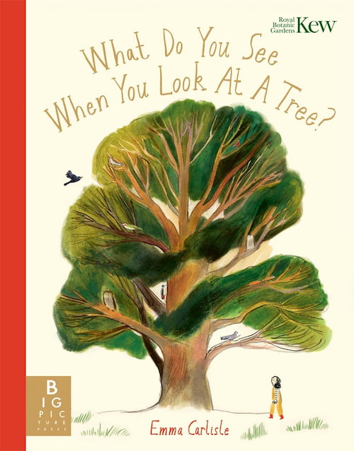 What Do You See WHen You Look At a Tree What Do You See WHen You Look At a Tree