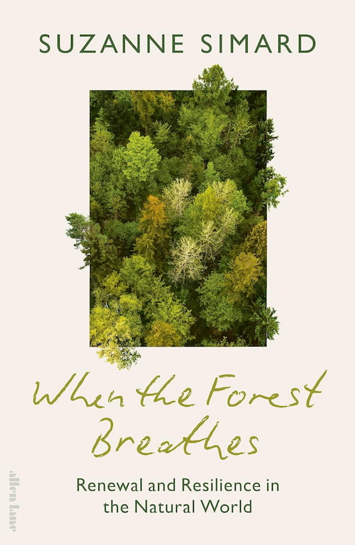 When the Forest Breathes When the Forest Breathes