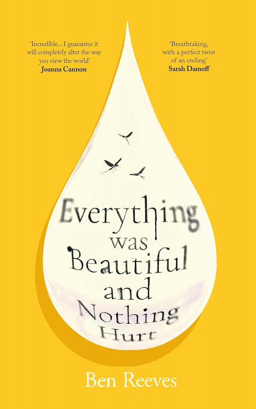 Everything Was Beautiful and Nothing Hurt Everything Was Beautiful and Nothing Hurt