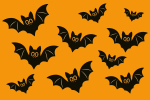 Spooky Spider Crafts