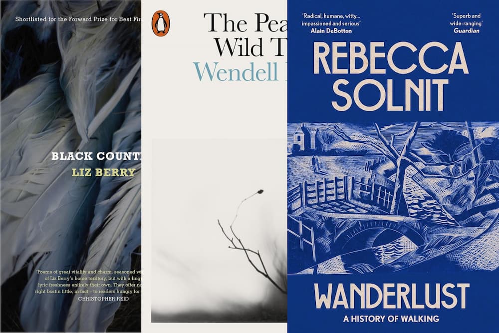Collage of poetry book covers